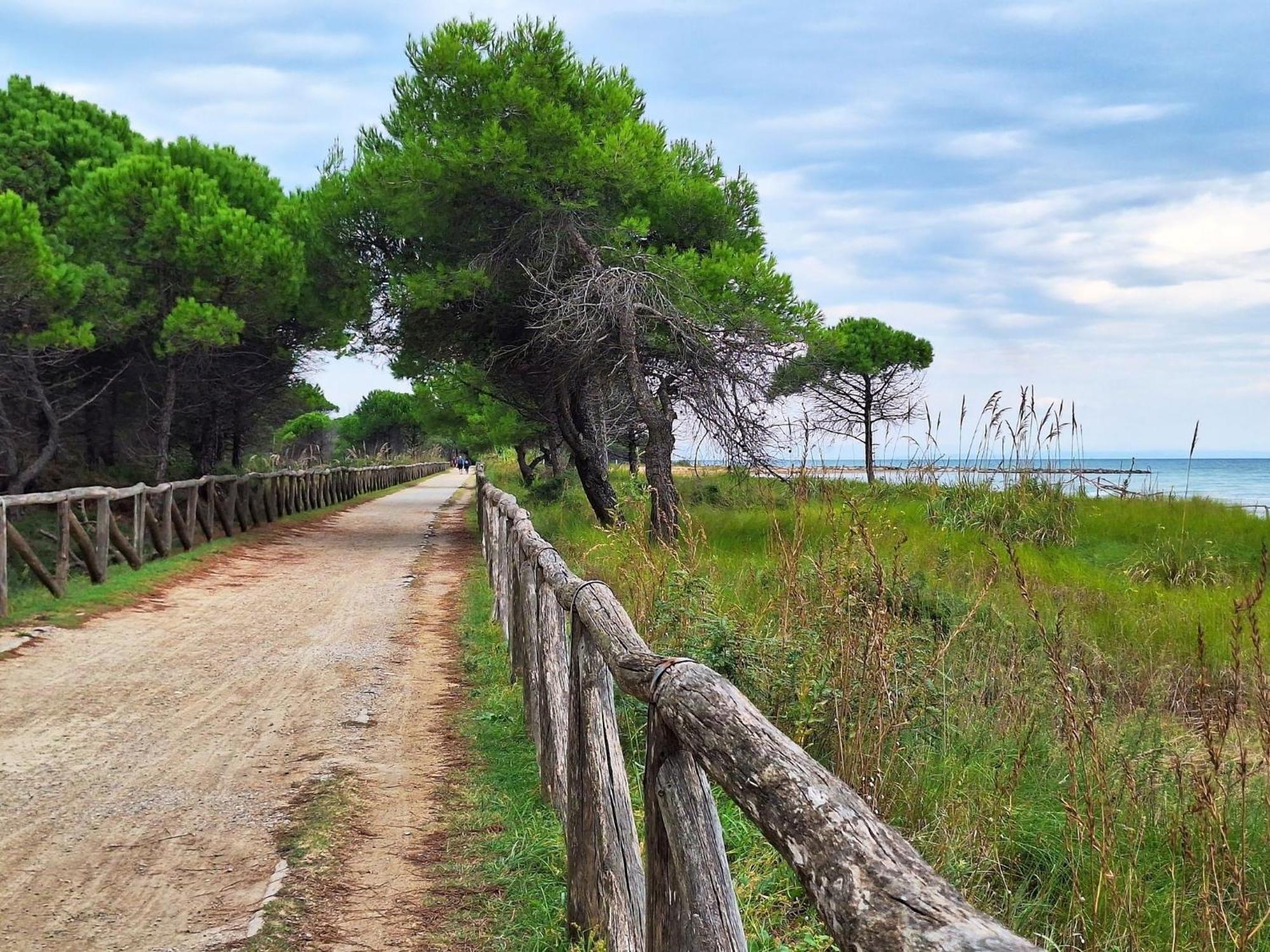 Lovely Flat Next To The - Beahost Apartment Bibione