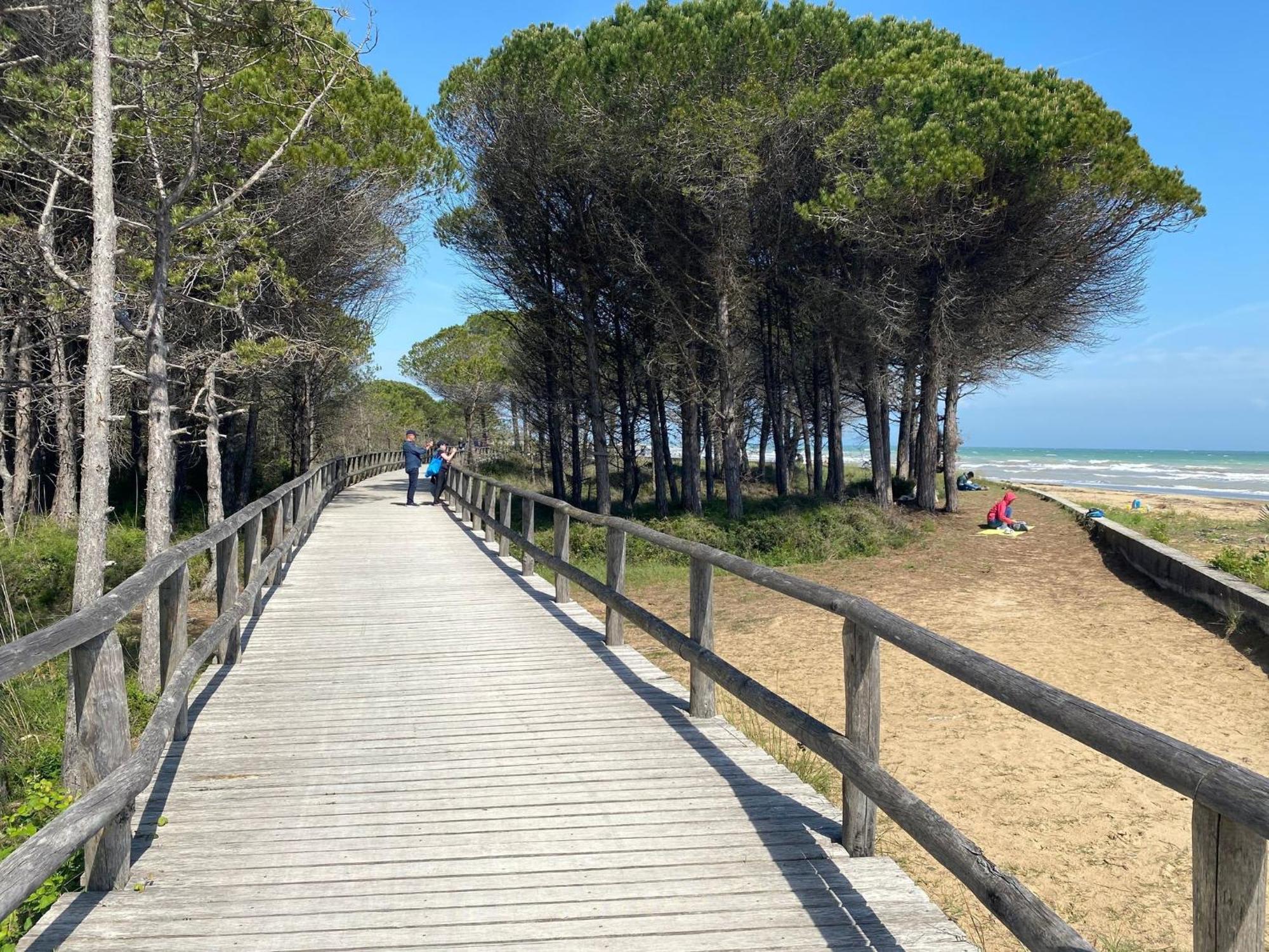 Apartment Lovely Flat Next To The - Beahost Bibione
